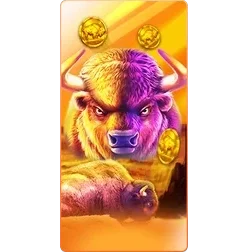 Buffalo
King